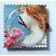 Photo Cadran Stamps Exposition  " DREAM of FLOWERS  "  Mis en Vente