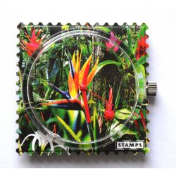 Photo Cadran Stamps WR Exposition Mis en Vente
