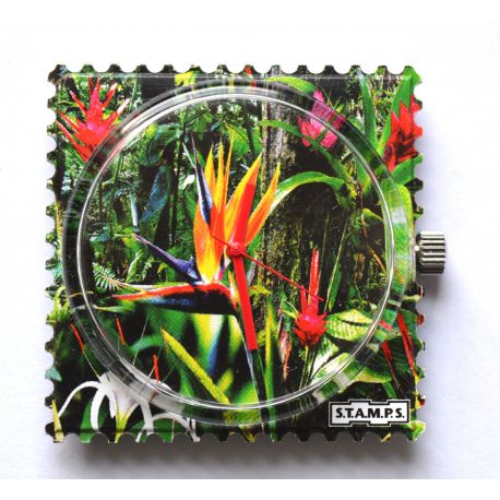 Photo Cadran Stamps WR Exposition Mis en Vente