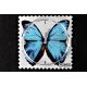 Photo Cadran Stamps Exposition  BLUE BUTTERFLY Mis en Vente 