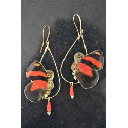B.O Ailes de Papillon