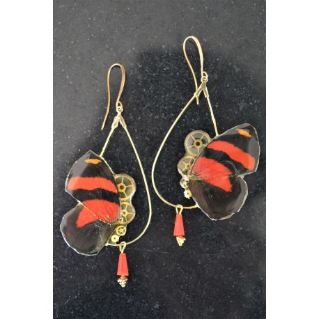 B.O Ailes de Papillon
