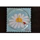 Photo Cadran Stamps DAISY Exposition Mis en Vente